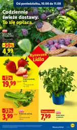 Gazetka promocyjna Lidl - Gazetka ważna od 10.08 do 11.08 - Gazetka - ważna od 11.08 do 11.08.2026 - strona 43 - produkty: Truskawki, Seler naciowy, Mięta