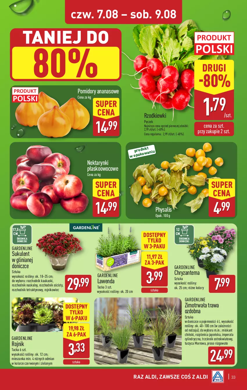 Gazetka promocyjna Aldi - Pełna oferta - ważna 04.08 do 09.08.2025 - strona 33 - produkty: Ananas, Chodnik, Chryzantema, Kask, Miska, Nektar, Pomidory, Sok, Sukulent