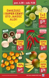 Gazetka promocyjna Aldi - Pełna oferta - Gazetka - ważna od 09.08 do 09.08.2025 - strona 5 - produkty: Piec, Mandarynki, Gra, Papryka, Limonka, Grill, Mango