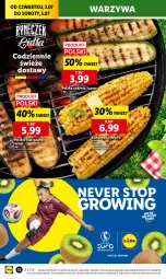 Gazetka promocyjna Lidl - GAZETKA - Gazetka - ważna od 05.07 do 05.07.2025 - strona 14 - produkty: Warzywa, Top, Kukurydza