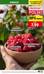 Gazetka promocyjna Lidl - GAZETKA - Gazetka - ważna od 05.07 do 05.07.2025 - strona 15 - produkty: Maliny, Owoce