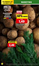 Gazetka promocyjna Lidl - GAZETKA - Gazetka - ważna od 05.07 do 05.07.2025 - strona 16 - produkty: Warzywa, Ziemniaki