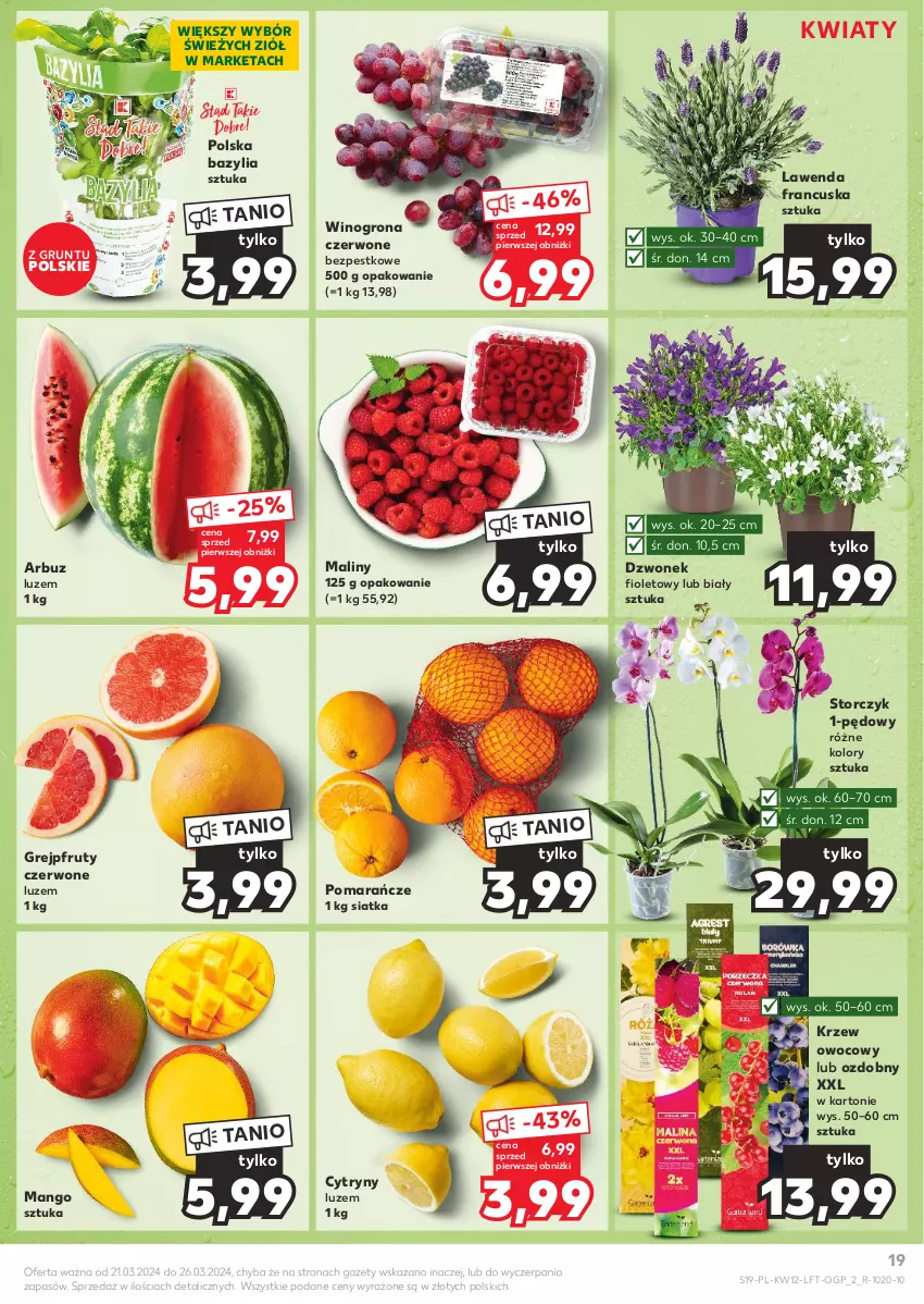 Gazetka promocyjna Kaufland - Gazetka tygodnia - ważna 21.03 do 26.03.2024 - strona 19 - produkty: Arbuz, Bazyl, Bazylia, Cytryny, Dzwonek, Grejpfrut, Grunt, Maliny, Mango, Pomarańcze, Siatka, Storczyk, Wino, Winogrona