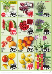 Gazetka promocyjna Kaufland - Gazetka tygodnia - Gazetka - ważna od 26.03 do 26.03.2024 - strona 19 - produkty: Dzwonek, Cytryny, Pomarańcze, Siatka, Storczyk, Maliny, Winogrona, Bazyl, Bazylia, Arbuz, Wino, Grunt, Mango, Grejpfrut