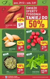 Gazetka promocyjna Aldi - Pełna oferta - Gazetka - ważna od 03.01 do 03.01.2026 - strona 4 - produkty: Cebula, Cebula szalotka, Szal, Ziemniaki, Kiełki, Groszek
