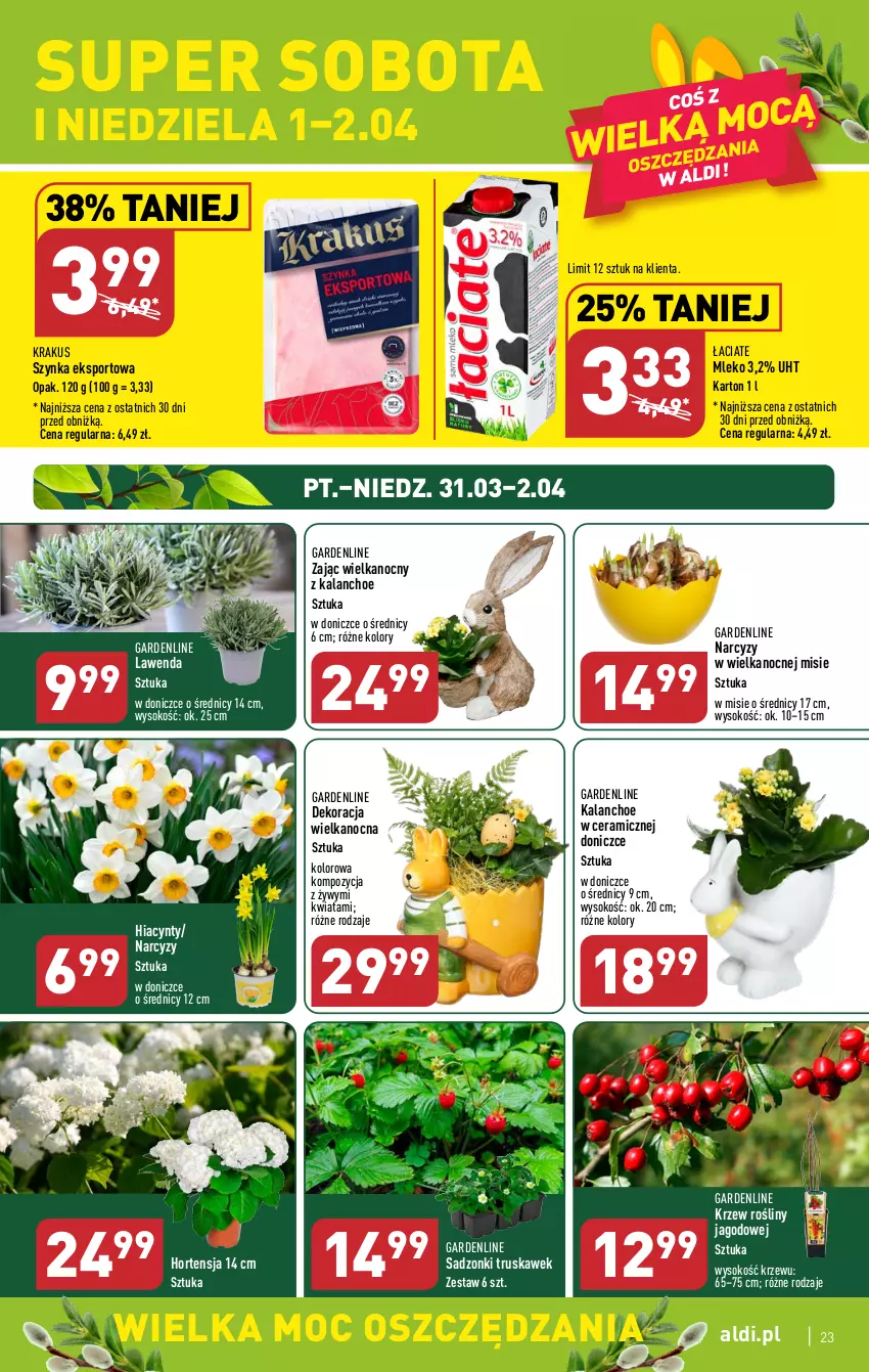 Gazetka promocyjna Aldi - Pełen katalog - ważna 27.03 do 02.04.2023 - strona 23 - produkty: Hiacynt, Kalanchoe, Krakus, Mleko, Narcyz, Por, Sok, Sport, Szynka