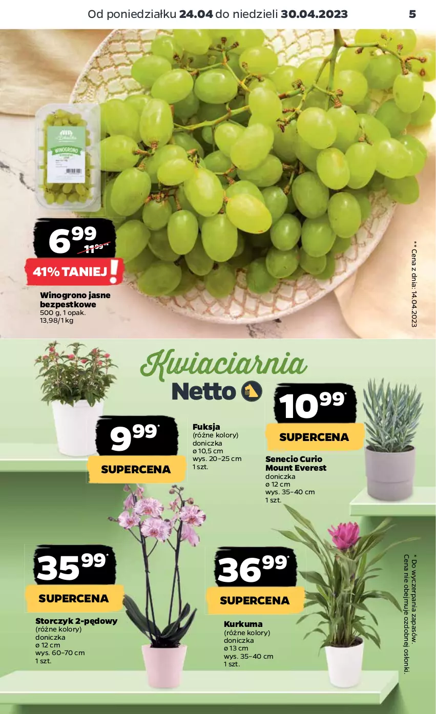 Gazetka promocyjna Netto - Artykuły spożywcze - ważna 24.04 do 30.04.2023 - strona 5 - produkty: Kurkuma, Storczyk, Wino