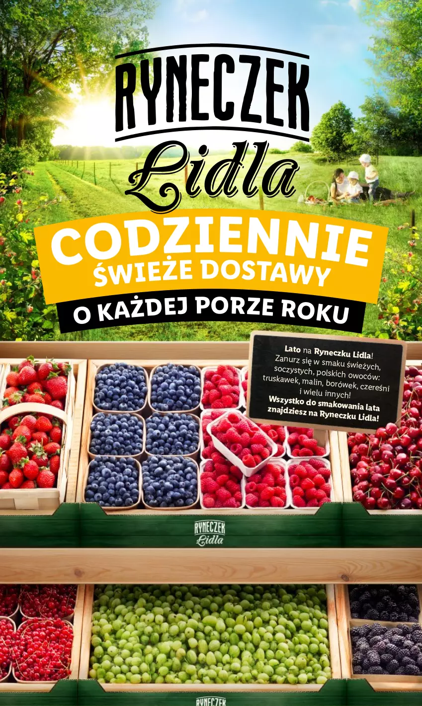 Gazetka promocyjna Lidl - GAZETKA - ważna 01.07 do 03.07.2024 - strona 14