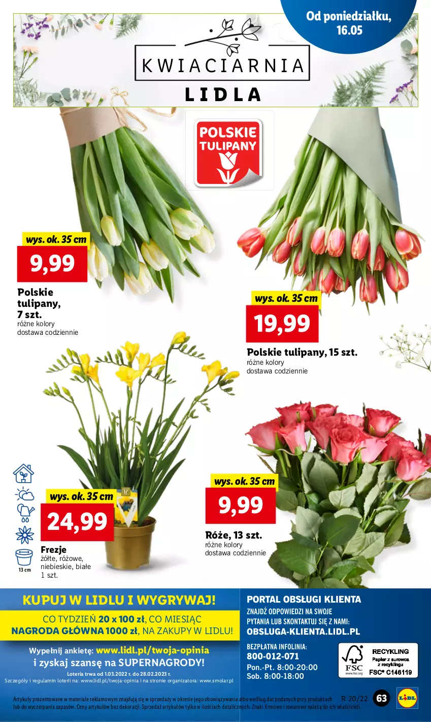 Gazetka promocyjna Lidl - GAZETKA - ważna 16.05 do 18.05.2022 - strona 63 - produkty: Gry, Mola, Tulipan