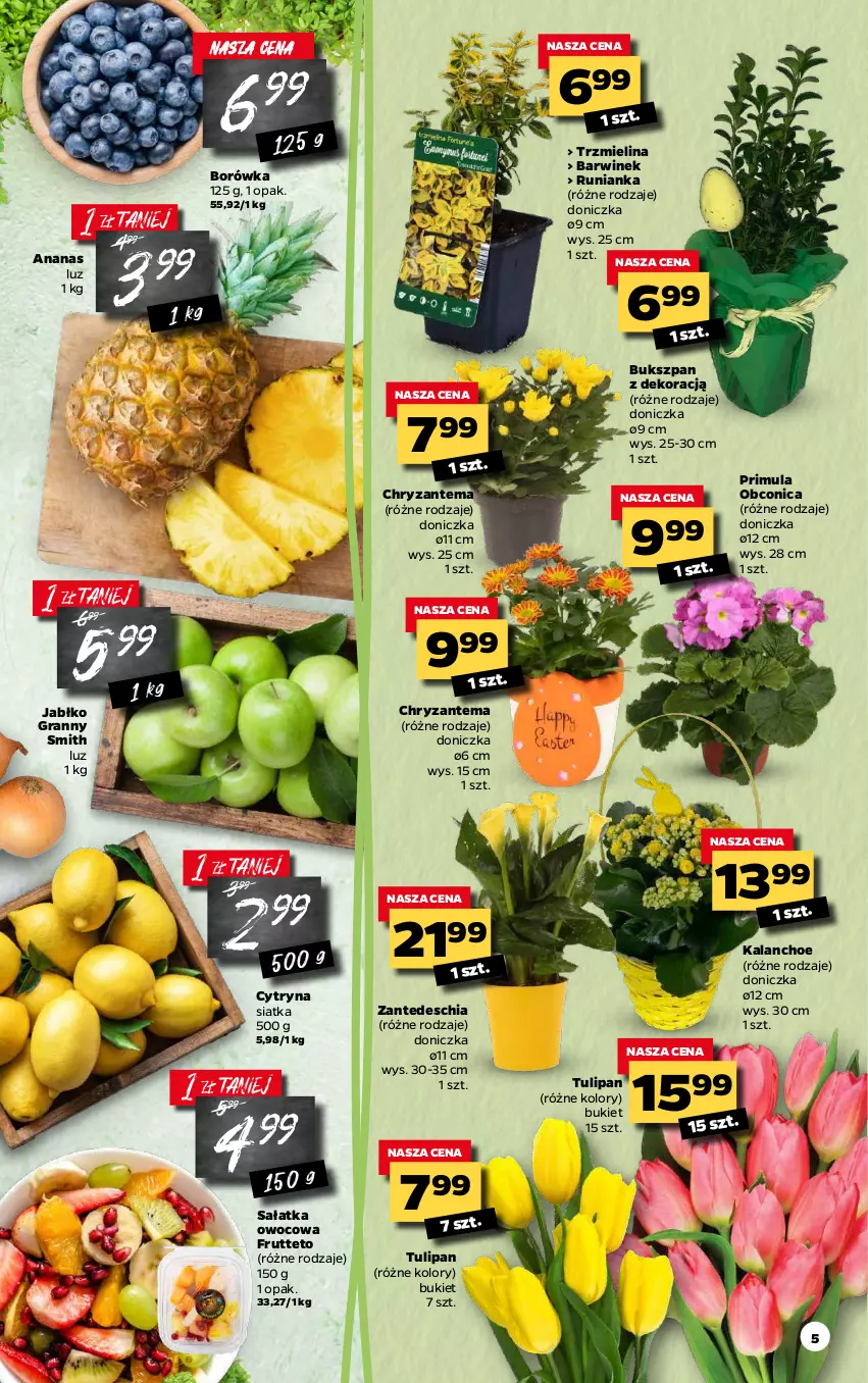 Gazetka promocyjna Netto - Gazetka spożywcza - ważna 29.03 do 03.04.2021 - strona 5 - produkty: Ananas, Borówka, Bukiet, Chia, Chryzantema, Gra, Kalanchoe, Primula, Sałat, Sałatka, Siatka, Tulipan