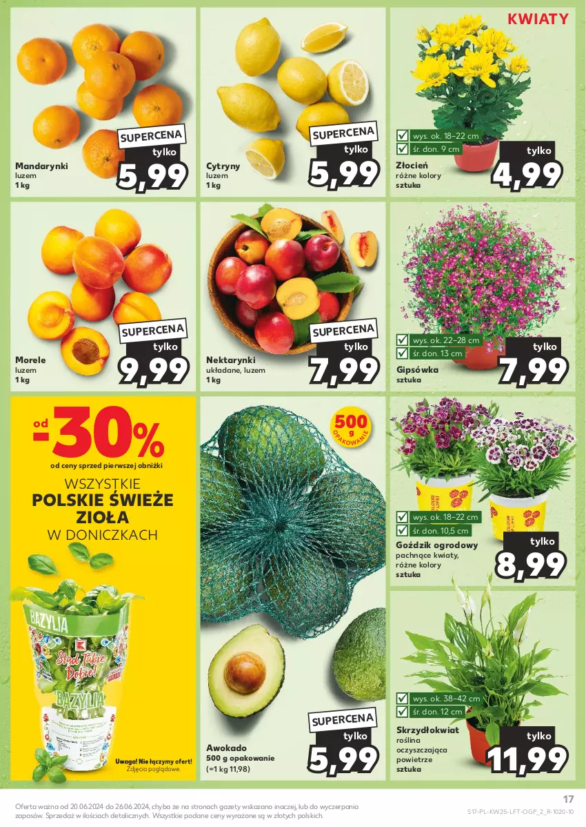 Gazetka promocyjna Kaufland - Gazetka tygodnia - ważna 20.06 do 26.06.2024 - strona 17 - produkty: Cień, Cytryny, Mandarynki, Nektar, Waga