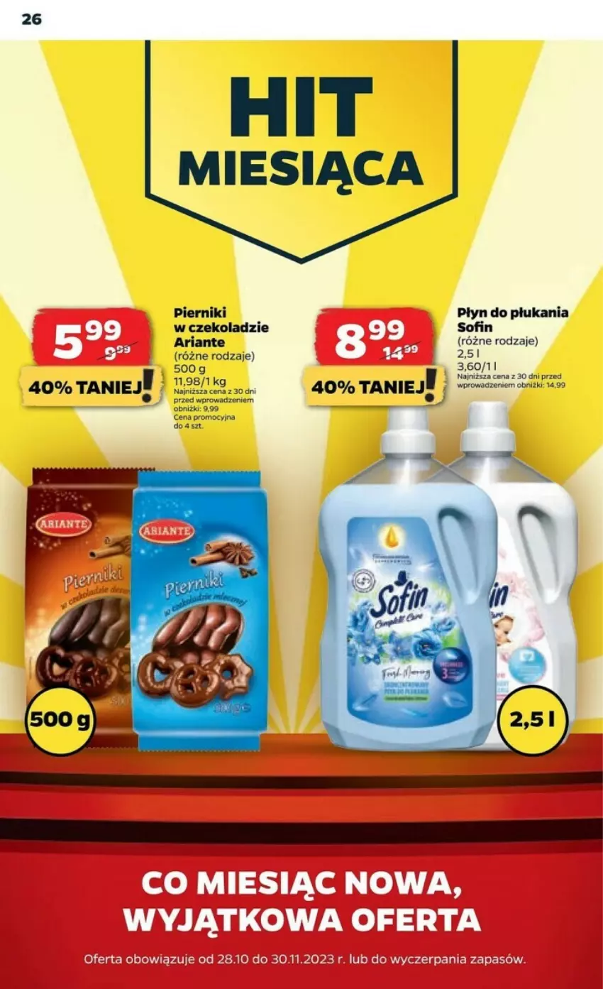 Gazetka promocyjna Netto - ważna 30.10 do 04.11.2023 - strona 19 - produkty: Piernik, Płyn do płukania