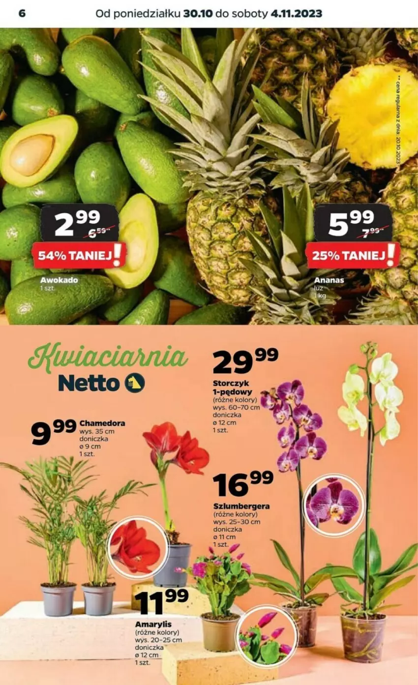 Gazetka promocyjna Netto - ważna 30.10 do 04.11.2023 - strona 24 - produkty: Amarylis, Storczyk, Szlumbergera