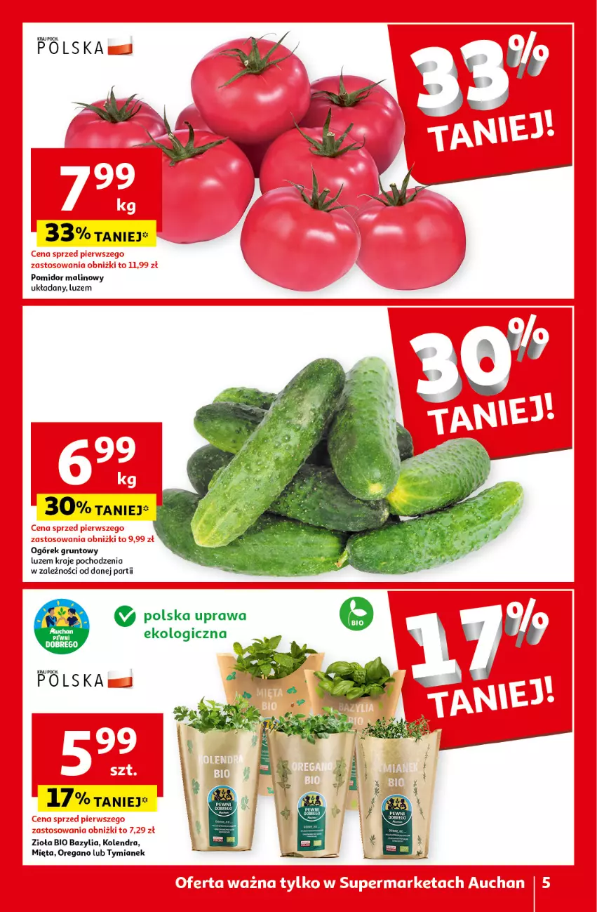 Gazetka promocyjna Auchan - Gazetka Oferty tygodnia Supermarket Auchan - ważna 23.05 do 29.05.2024 - strona 5 - produkty: Bazyl, Bazylia, Grunt, Kolendra, Mięta, Ogórek, Pomidor malinowy