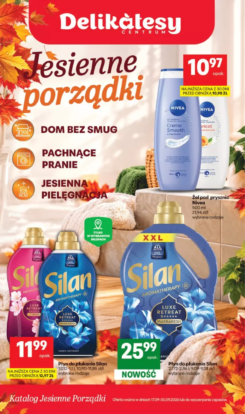 Gazetka promocyjna Delikatesy Centrum - Katalog Lato DC38-DC39 - ważna 17.09 do 30.09.2026 - strona 1 - produkty: Nivea, Silan