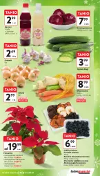 Gazetka promocyjna Intermarche - Gazetka Intermarche - Gazetka - ważna od 24.12 do 24.12.2024 - strona 23 - produkty: Cebula, Ogórek, Czosnek, Siatka, Buraki