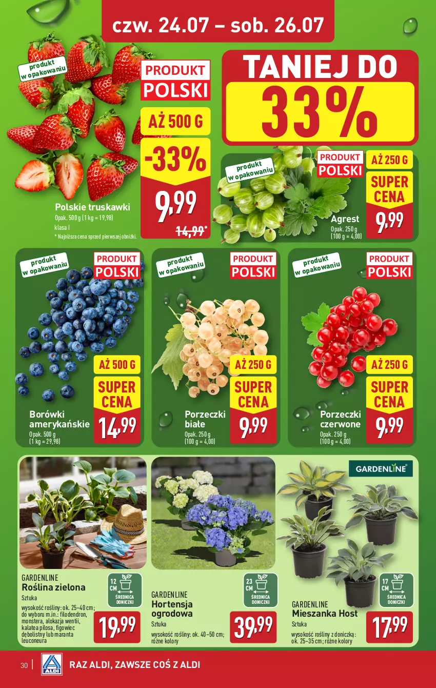 Gazetka promocyjna Aldi - Pełna oferta - ważna 21.07 do 26.07.2025 - strona 30 - produkty: Dron, Gres, Pilos, Por, Porzeczki czerwone, Sok, Tera, Truskawki