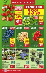 Gazetka promocyjna Aldi - Pełna oferta - Gazetka - ważna od 26.07 do 26.07.2025 - strona 30 - produkty: Sok, Por, Truskawki, Porzeczki czerwone, Tera, Dron, Pilos, Gres