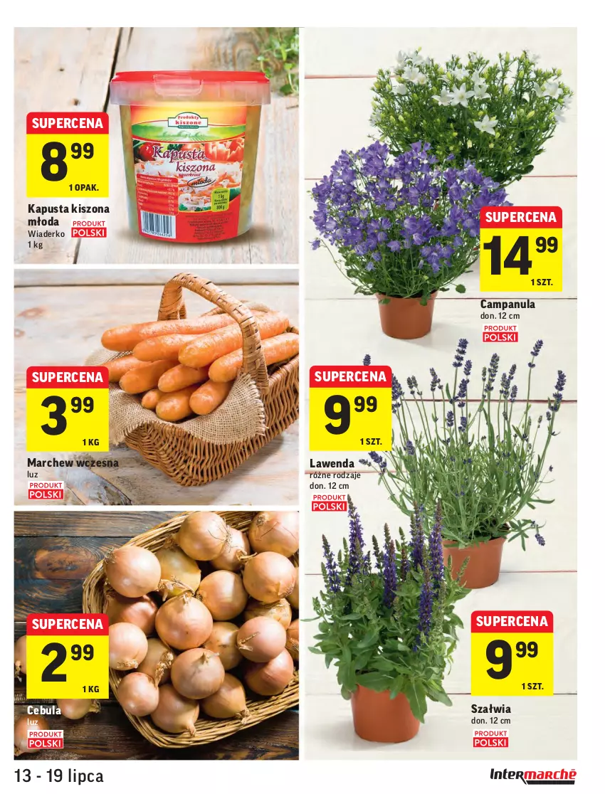 Gazetka promocyjna Intermarche - ważna 13.07 do 19.07.2021 - strona 15 - produkty: Campanula, Cebula