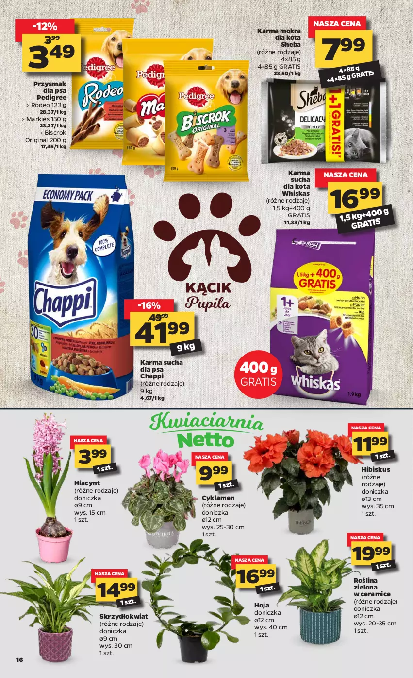 Gazetka promocyjna Netto - Oferta - ważna 25.01 do 31.01.2021 - strona 16 - produkty: Chappi, Cyklamen, Gin, Gra, Hiacynt, Hibiskus, Pedigree, Przysmak dla psa, Sheba, Whiskas