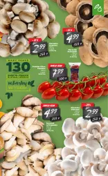 Gazetka promocyjna Netto - Oferta - Gazetka - ważna od 31.01 do 31.01.2021 - strona 5 - produkty: Piec, Por, Bell, Portobello, Pieczarka, Boczniak