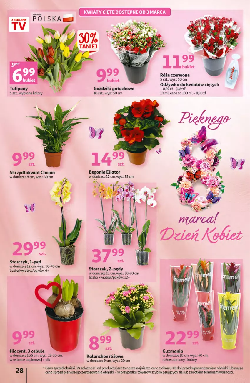 Gazetka promocyjna Auchan - Gazetka Rewelacje na Dzień Kobiet Hipermarket Auchan - ważna 02.03 do 08.03.2023 - strona 28 - produkty: Bukiet, Hiacynt, Kalanchoe, O nas, Odżywka, Papier, Storczyk, Tulipan