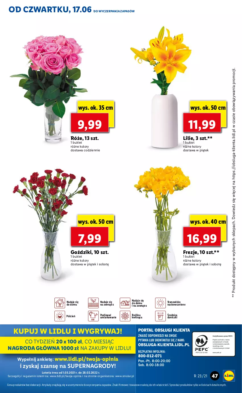 Gazetka promocyjna Lidl - GAZETKA - ważna 17.06 do 19.06.2021 - strona 47 - produkty: Bukiet, Cień, Gry, Mola, O nas