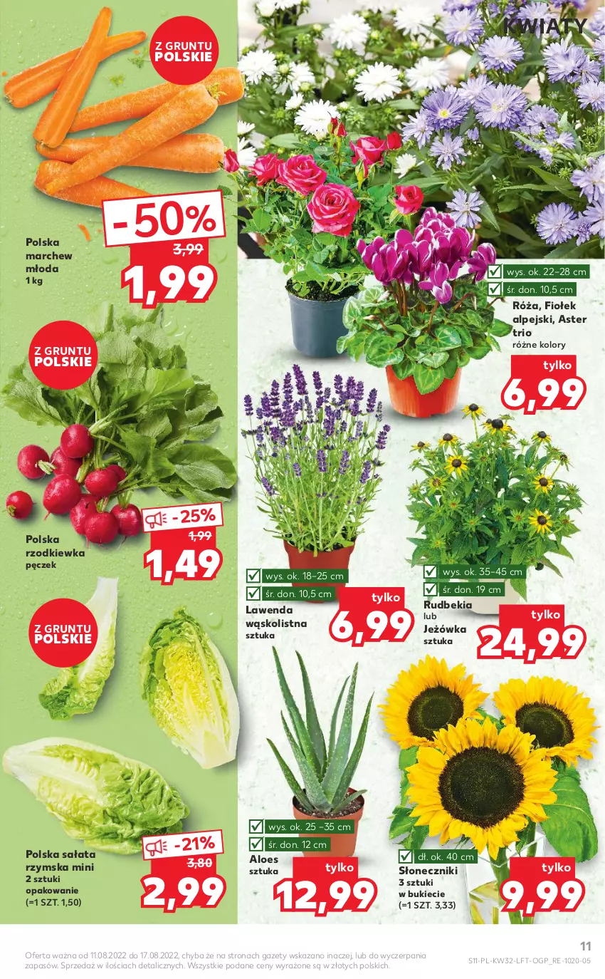 Gazetka promocyjna Kaufland - OFERTA TYGODNIA - ważna 11.08 do 17.08.2022 - strona 11 - produkty: Grunt, Róża, Rzodkiewka, Sałat