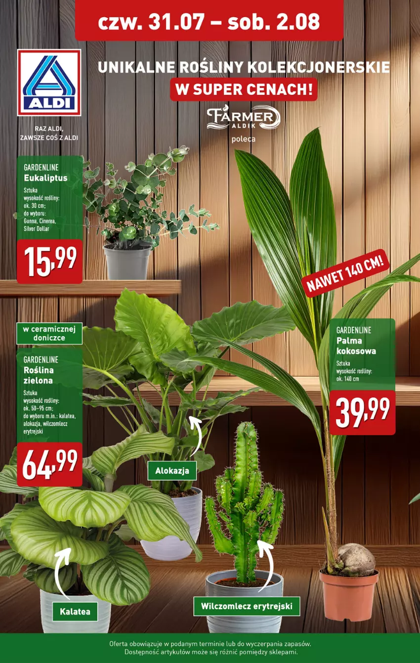 Gazetka promocyjna Aldi - Pełna oferta - ważna 28.07 do 02.08.2025 - strona 30 - produkty: Kokos, Miecz, Sok