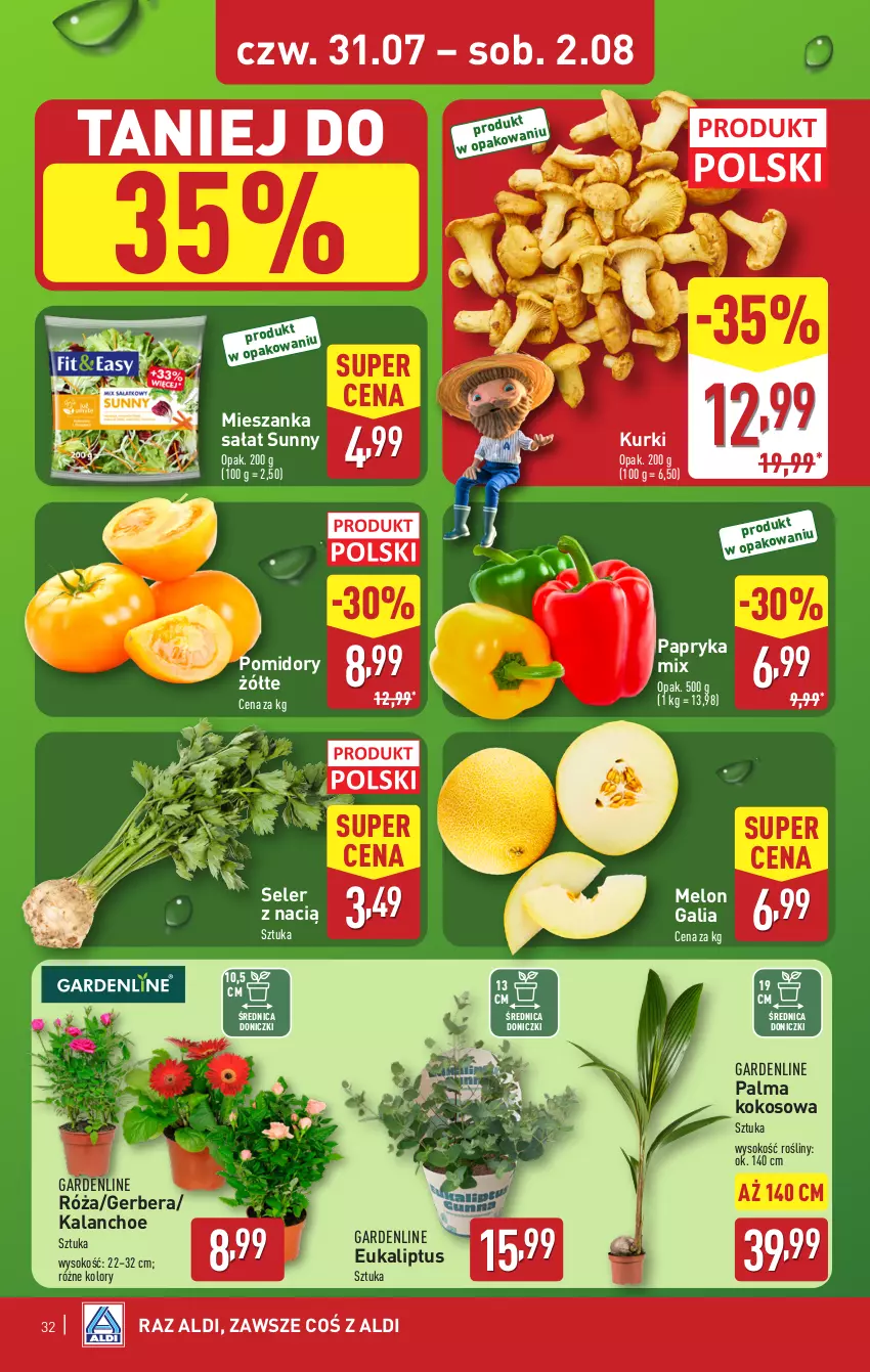Gazetka promocyjna Aldi - Pełna oferta - ważna 28.07 do 02.08.2025 - strona 32 - produkty: Gerber, Kalanchoe, Kokos, Melon, Mieszanka sałat, Palma, Papryka, Pomidory, Róża, Sałat, Sok