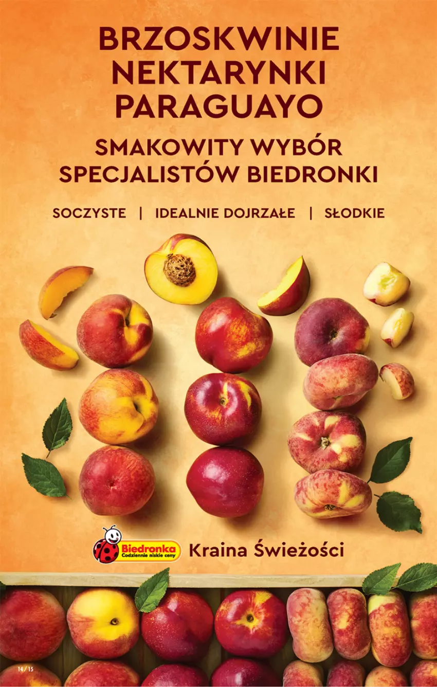 Gazetka promocyjna Biedronka - ważna 07.07 do 13.07.2022 - strona 14 - produkty: Brzoskwinie, Dron, Nektar