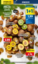 Gazetka promocyjna Lidl - GAZETKA - Gazetka - ważna od 28.12 do 28.12.2024 - strona 18 - produkty: Gra, Kiwi, Owoce