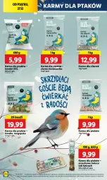 Gazetka promocyjna Lidl - GAZETKA - Gazetka - ważna od 28.12 do 28.12.2024 - strona 54 - produkty: Knedle