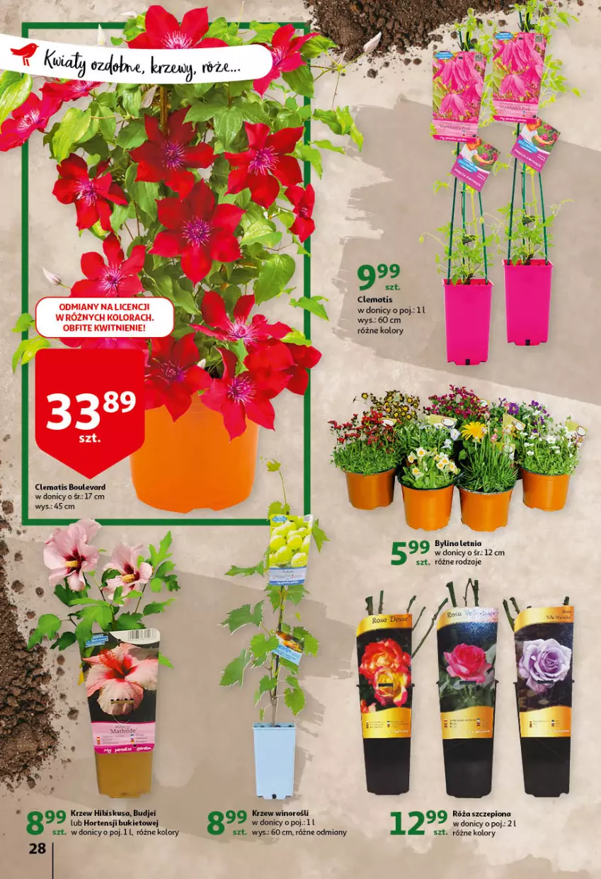 Gazetka promocyjna Auchan - przeNISKIE CENY przeWSPANIAŁE okazje Hipermarkety - ważna 21.04 do 27.04.2022 - strona 28 - produkty: Bukiet, Hibiskus, Róża, Wino