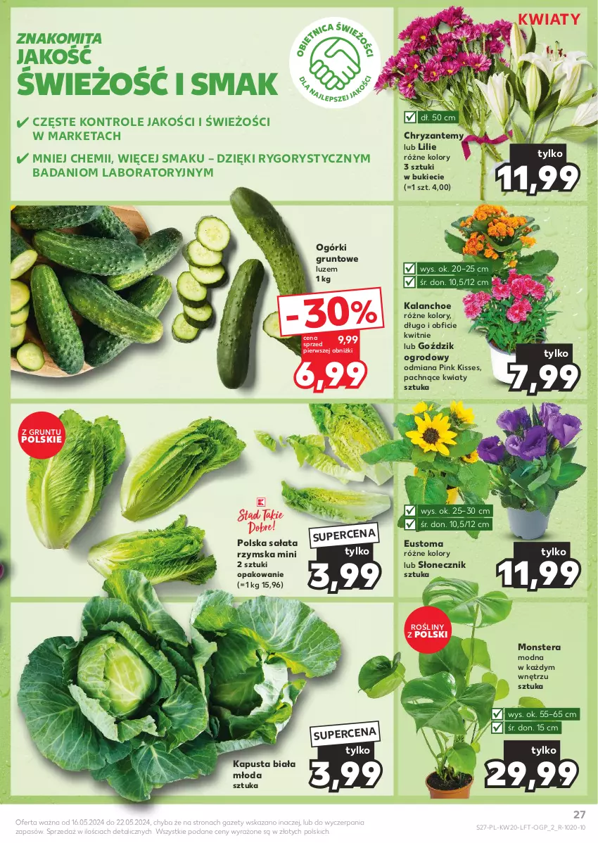 Gazetka promocyjna Kaufland - Gazetka tygodnia - ważna 16.05 do 22.05.2024 - strona 27 - produkty: Danio, Grunt, Kalanchoe, Sałat, Tera