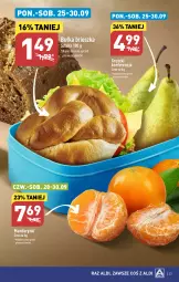 Gazetka promocyjna Aldi - Pełna oferta - Gazetka - ważna od 30.09 do 30.09.2023 - strona 23 - produkty: Mandarynki, Gruszki, Bułka brioszka, Bułka