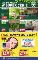 Gazetka promocyjna Aldi - Pełna oferta - Gazetka - ważna od 30.09 do 30.09.2023 - strona 28 - produkty: Sok, Por, Tulipan, Mleczna Rzeka, Mięsne specjały, Palma, Schab wieprzowy, Narcyz, Masło, Kokos