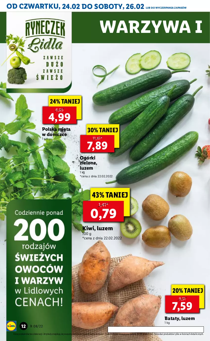 Gazetka promocyjna Lidl - GAZETKA - ważna 24.02 do 26.02.2022 - strona 12 - produkty: Kiwi, Mięta, Warzywa