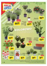 Gazetka promocyjna Carrefour - Gazetka Carrefour - Gazetka - ważna od 06.05 do 06.05.2023 - strona 26 - produkty: Mus, Gra, Biohumus, Dron, Laur, Bukiet, Flora, Nawóz