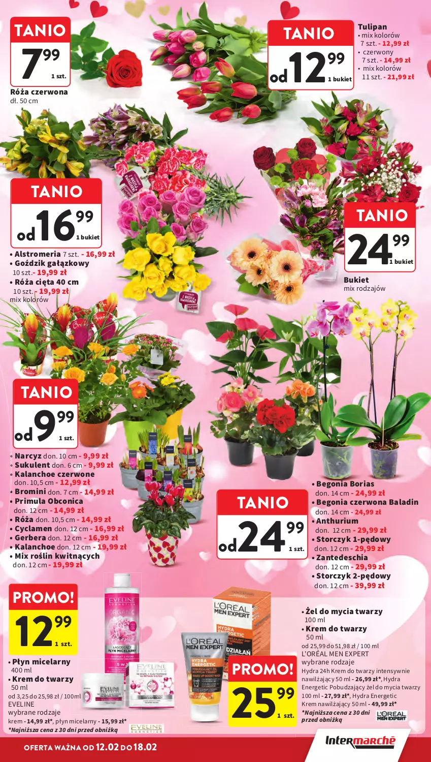 Gazetka promocyjna Intermarche - Gazetka Intermarche - ważna 12.02 do 18.02.2026 - strona 13 - produkty: Bukiet, Chia, Eveline, Gerber, Kalanchoe, Krem do twarzy, Krem nawilżający, Narcyz, Płyn micelarny, Primula, Róża, Storczyk, Sukulent, Tulipan