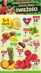 Gazetka promocyjna Intermarche - Gazetka Intermarche - Gazetka - ważna od 18.02 do 18.02.2026 - strona 16 - produkty: Ser, Gra, Borówka, Czosnek, Ananas, Pomelo, Avocado, Limonka, Owoce, Mango, Imbir