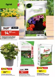 Gazetka promocyjna Leroy Merlin - Gazetka Leroy Merlin - Gazetka - ważna od 16.06 do 16.06.2026 - strona 10 - produkty: Słupek, Girlanda, Nawóz, Ogród
