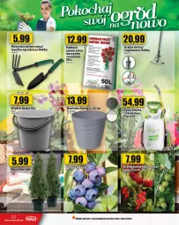 Gazetka promocyjna Topaz - Gazetka - Gazetka - ważna od 20.03 do 20.03.2024 - strona 22 - produkty: Top, Gra, Wiadro, Flora, Hobby