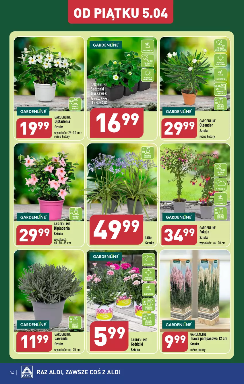 Gazetka promocyjna Aldi - Pełna oferta - ważna 02.04 do 06.04.2024 - strona 34 - produkty: Sok