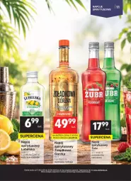 Gazetka promocyjna Delikatesy Centrum - Delibarek DC38-DC39 - Gazetka - ważna od 30.09 do 30.09.2026 - strona 11 - produkty: Rama, Kaktus, Napoje, Napój