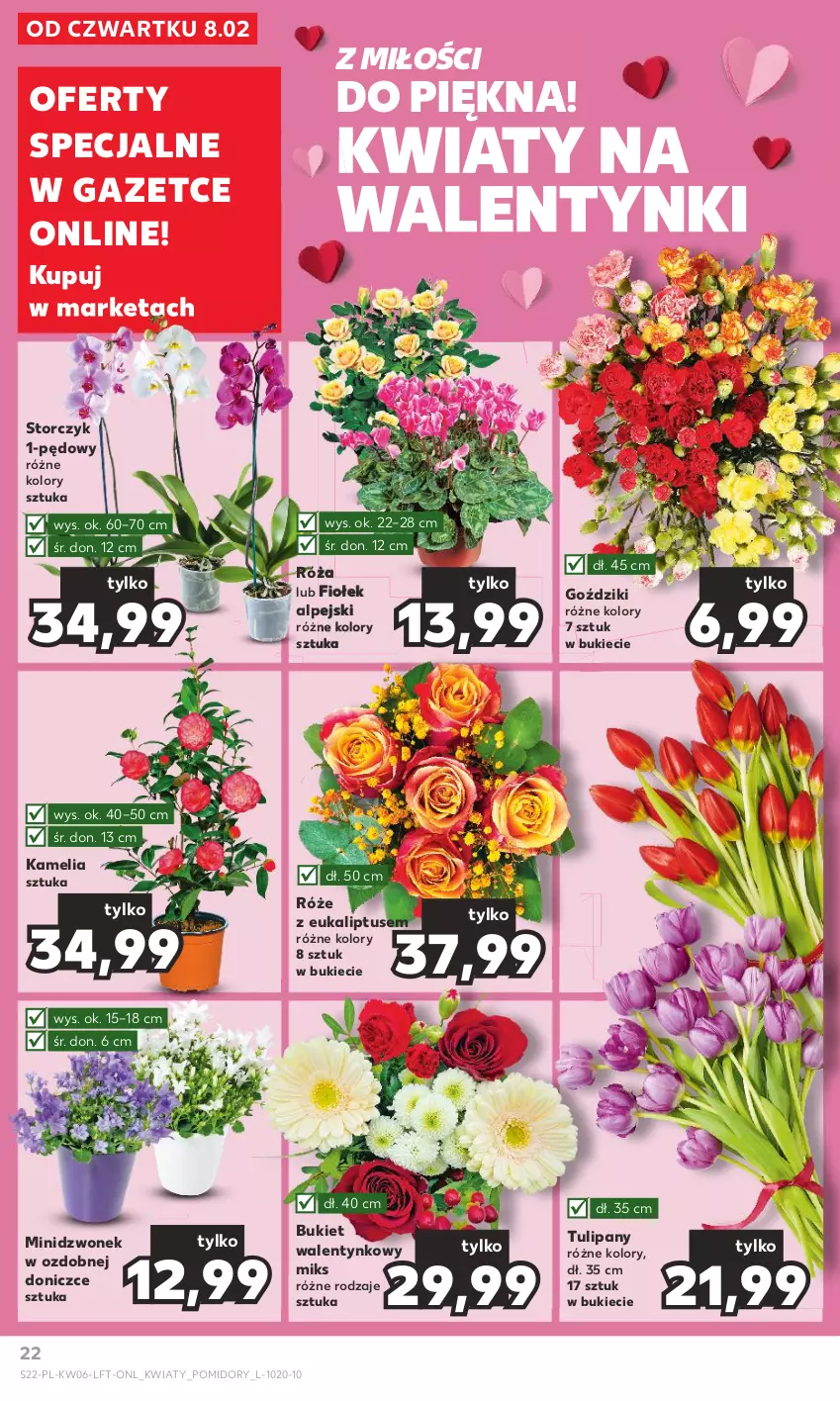 Gazetka promocyjna Kaufland - Gazetka tygodnia - ważna 08.02 do 14.02.2024 - strona 22 - produkty: Bukiet, Dzwonek, Pomidory, Róża, Storczyk, Tulipan