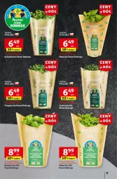 Gazetka promocyjna Auchan - Gazetka CENY W DÓŁ Hipermarket Auchan - Gazetka - ważna od 10.07 do 10.07.2024 - strona 11 - produkty: Kolendra, Bazyl, Bazylia, Mięta