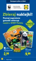 Gazetka promocyjna Lidl - GAZETKA - Gazetka - ważna od 19.10 do 19.10.2025 - strona 58 - produkty: Klej, Album, Wkładki