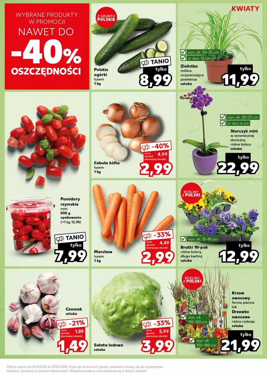 Gazetka promocyjna Kaufland - Kaufland - ważna 18.03 do 20.03.2024 - strona 15 - produkty: Cebula, Czosnek, Pomidory, Sałat, Sałata lodowa, Storczyk