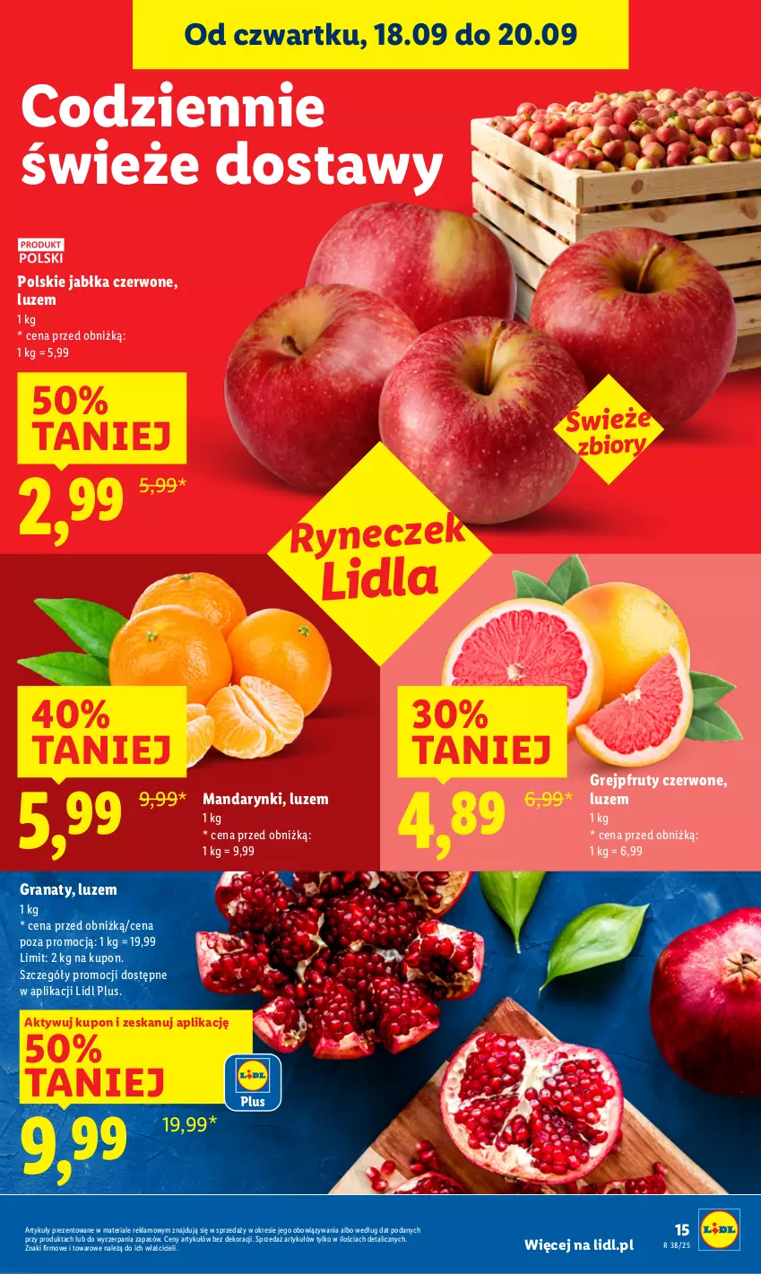 Gazetka promocyjna Lidl - GAZETKA - ważna 18.09 do 20.09.2025 - strona 19 - produkty: Gra, Granat, Grejpfrut, Jabłka, Mandarynki